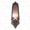 "Thahash" Decorative Brass Push Plate